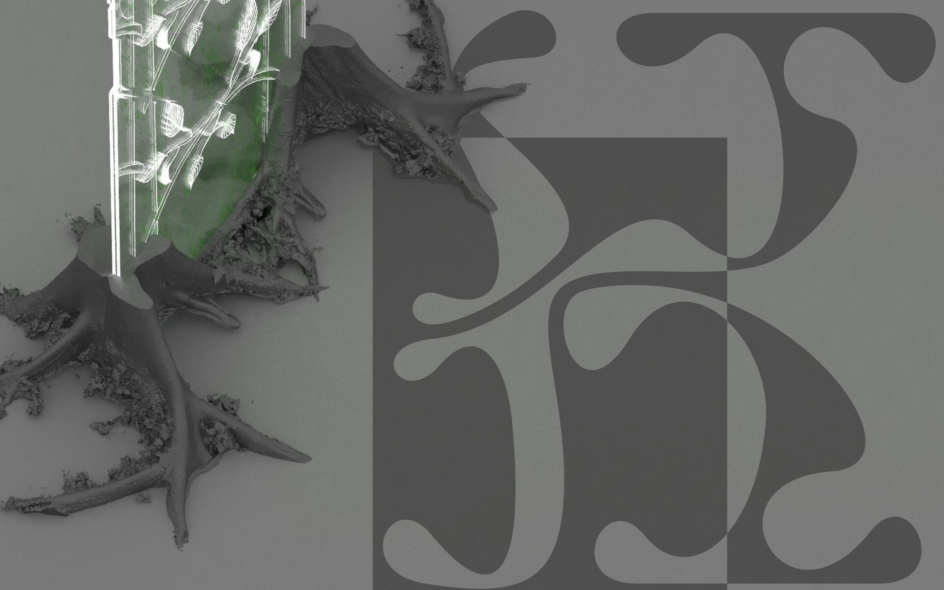 typeface : detail